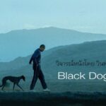 Black Dog สีขาหัวใจไม่ดำ ทาง True vision