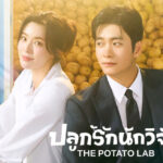 รีวิวซีรีส์เกาหลี ปลูกรักนักวิจัย (The Potato Lab)