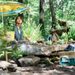 Castaway Diva
