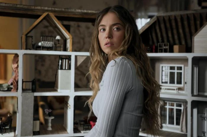 ความลับแม่บ้านร้าย