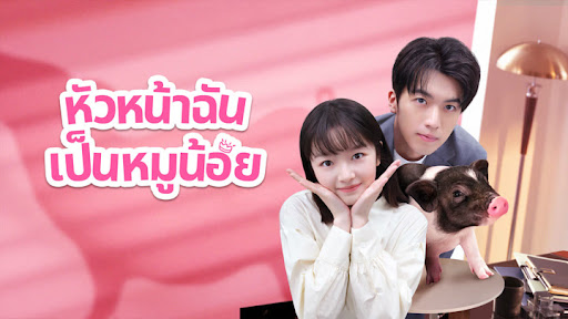 หัวหน้าฉันเป็นหมูน้อย