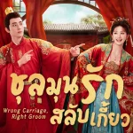 ชุลมุนรักสลับเกี้ยว